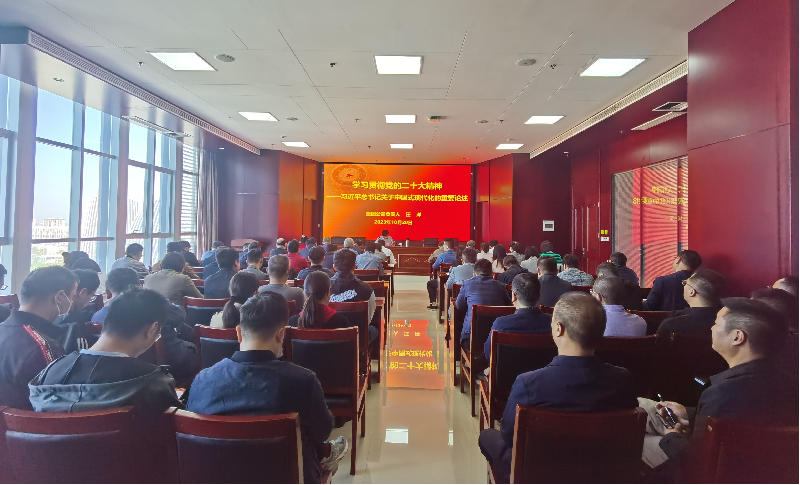 紧跟核心强忠诚 在深学细悟中坚定信仰信念 ——星空手机在线登陆入口-星空（中国）
负责人汪洋同志为全体党员讲授主题教育专题党课